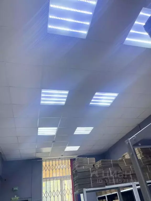 Помещение свободного назначения в Новосибирская область, Новосибирск ... - Фото 1