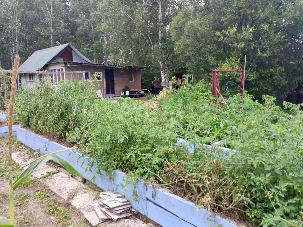 Дом в Еврейская автономная область, Смидовичский район, с. Дежневка ... - Фото 1