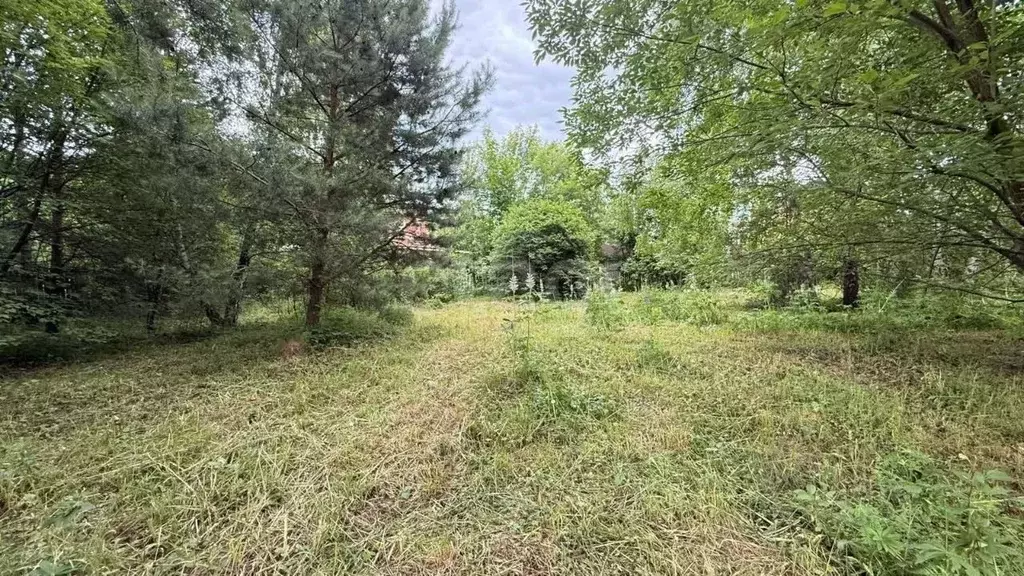 Участок в Московская область, Богородский городской округ, с. ... - Фото 1