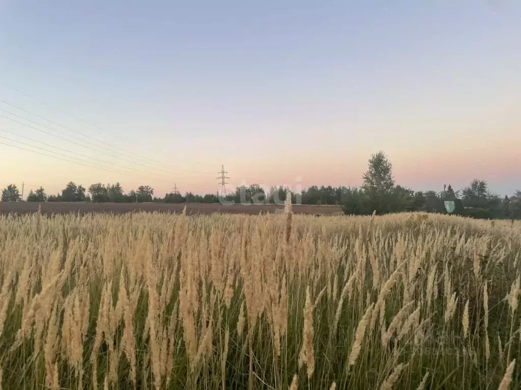 Участок в Нижегородская область, Кстовский муниципальный округ, д. ... - Фото 0