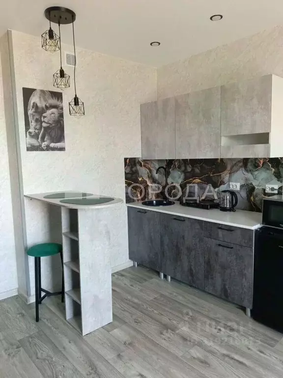 Студия Новосибирская область, Новосибирск Бронная ул., 22/1 (26.0 м) - Фото 1