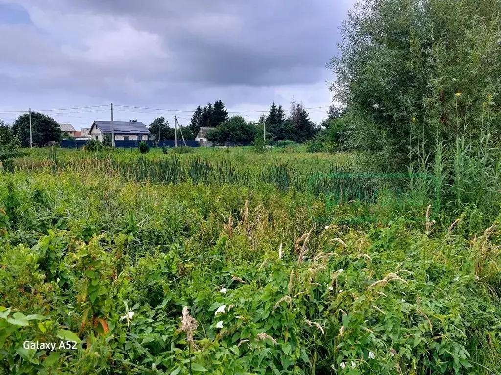 Участок в Калининградская область, Гурьевский муниципальный округ, ... - Фото 2