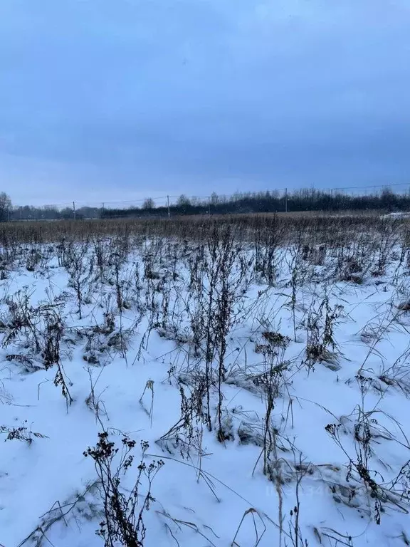 Участок в Московская область, Воскресенск городской округ, д. Силино  ... - Фото 0