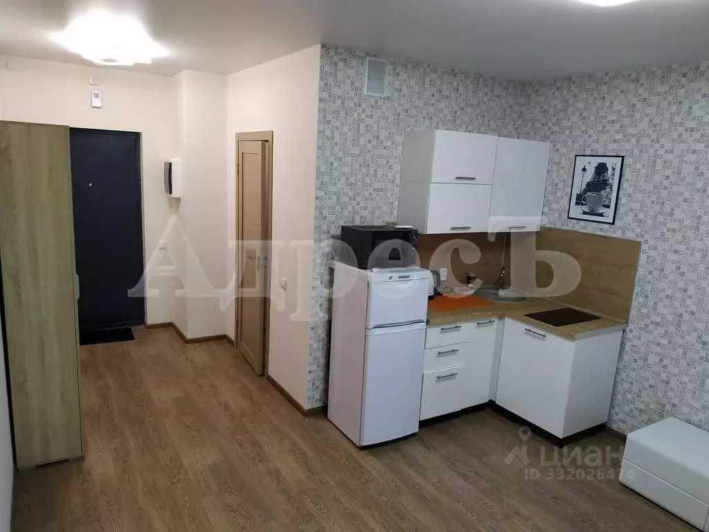 Студия Воронежская область, Воронеж ул. Загоровского, 1 (28.0 м) - Фото 2
