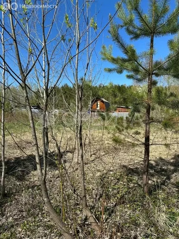 Участок в Тюменский муниципальный округ, СНТ Лесник-2 (9.78 м) - Фото 0