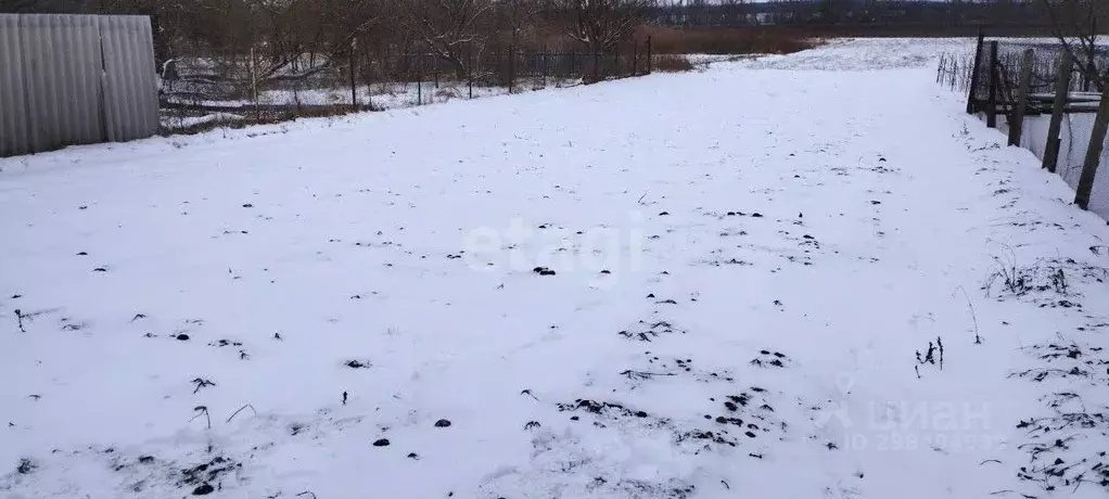 Участок в Белгородская область, Алексеевский городской округ, с. ... - Фото 0