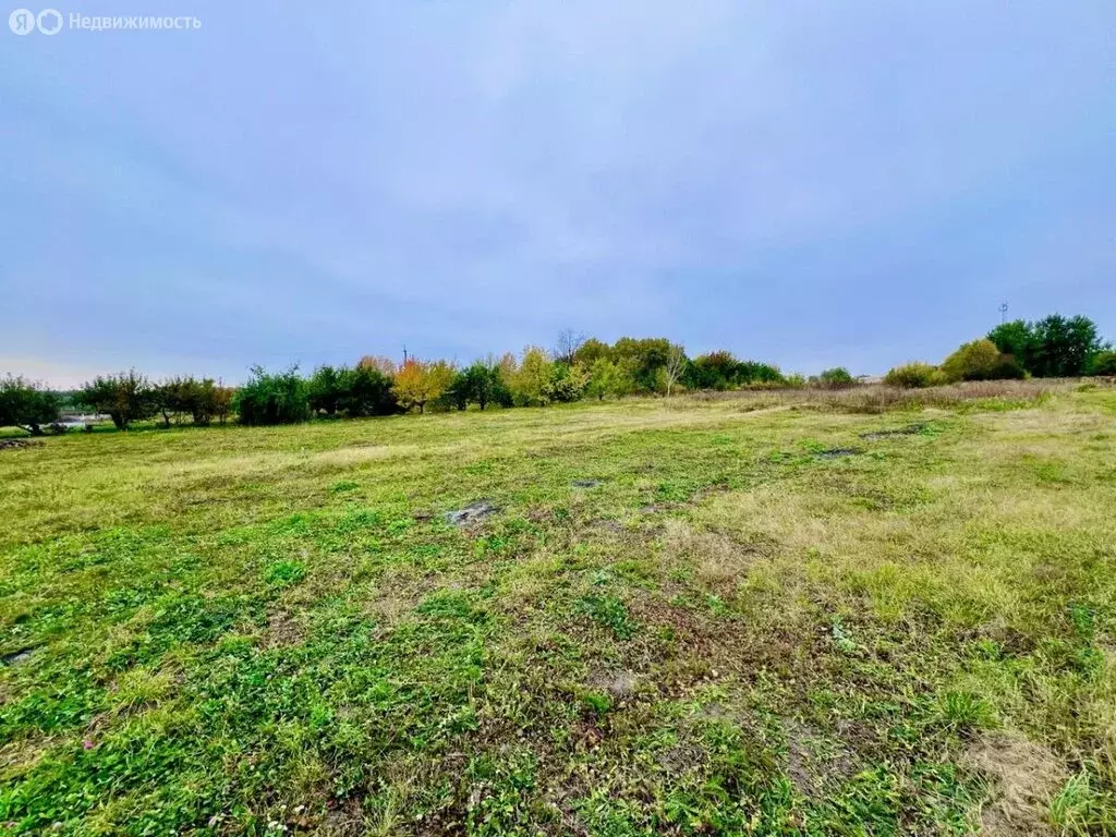 Участок в Курский район, Нижнемедведицкий сельсовет, деревня Нижняя ... - Фото 2