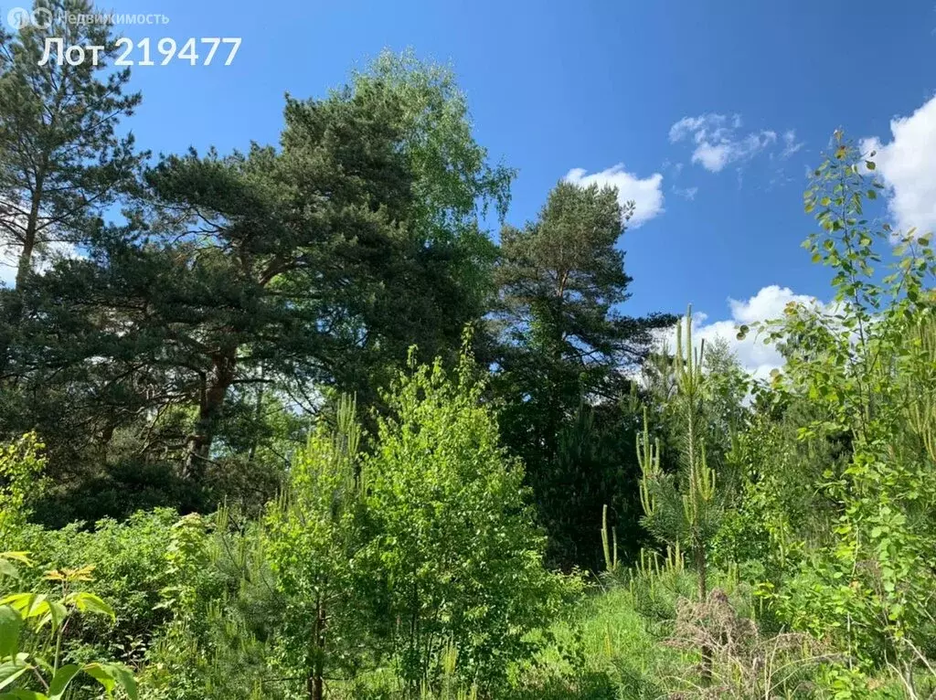 Участок в деревня Молоденово, 9 (15 м) - Фото 0