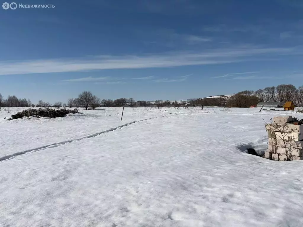 Участок в Республика Мордовия, городской округ Саранск, село Напольная ... - Фото 1
