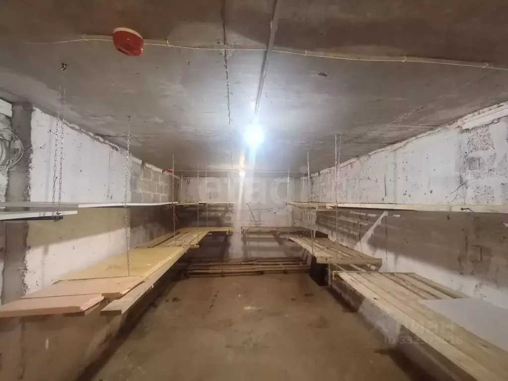 Помещение свободного назначения в Краснодарский край, Анапа Парковая ... - Фото 2