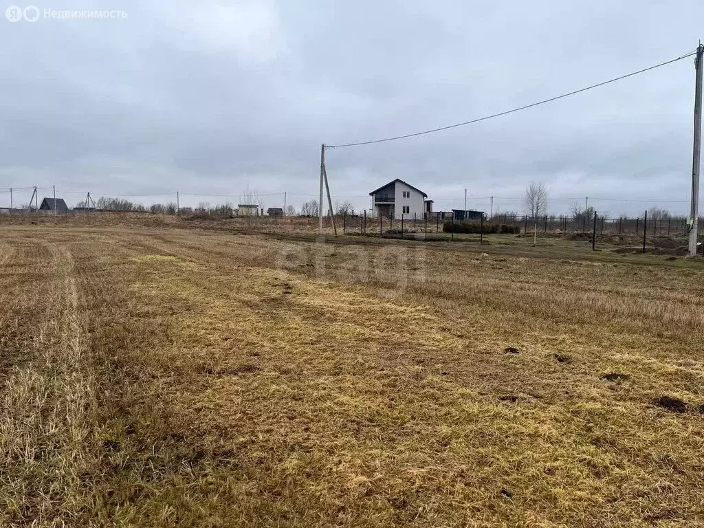 Участок в Калининградская область, Гвардейский муниципальный округ (8 ... - Фото 2