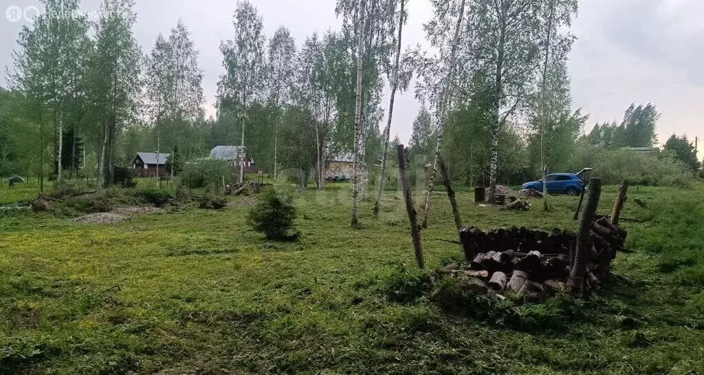 Участок в Вологодский муниципальный округ, СТ Автомобилист (13 м) - Фото 2