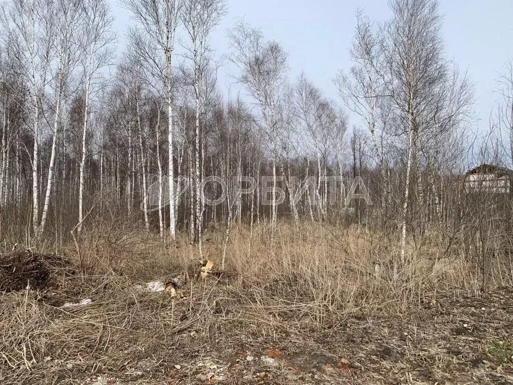 Участок в Тюменская область, Нижнетавдинский муниципальный округ, ... - Фото 2