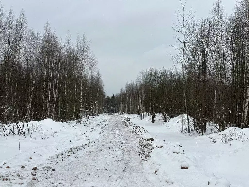 Участок в Московская область, Сергиево-Посадский городской округ, ... - Фото 1