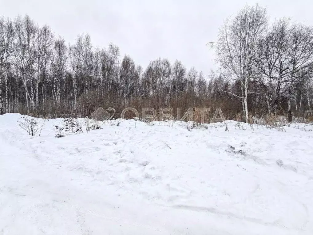 Участок в Тюменская область, Тюмень Якорь садовое товарищество, ул. ... - Фото 1