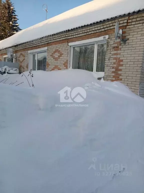 Дом в Новосибирская область, Новосибирский район, с. Раздольное ул. ... - Фото 2