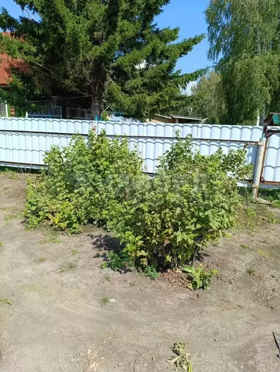 Участок 4 сот. (СНТ, ДНП) - Фото 1