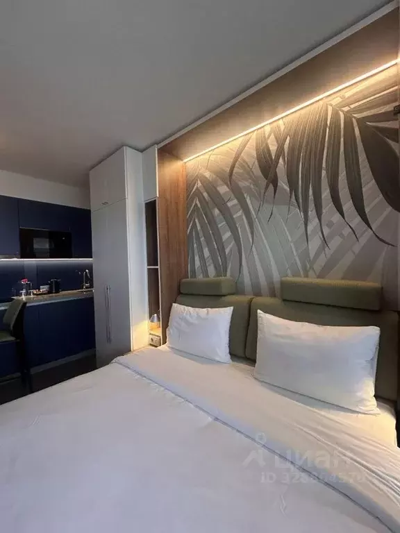 Студия Краснодарский край, Сочи городской округ, Дагомыс пгт ул. ... - Фото 1