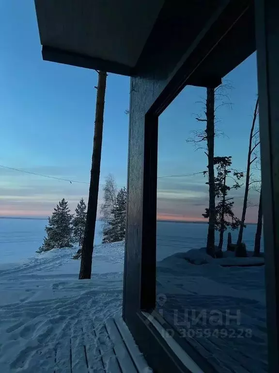 Дом в Нижегородская область, Городецкий муниципальный округ  (20 м) - Фото 1