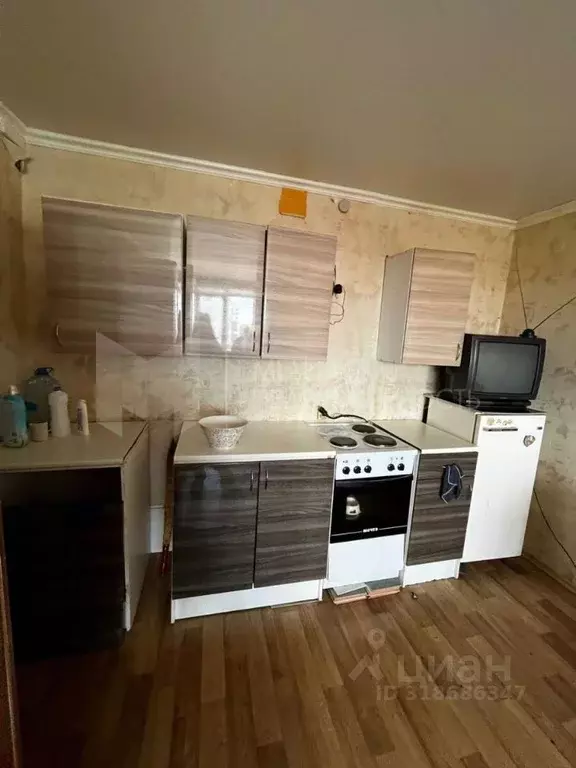Студия Тюменская область, Тюмень ул. Республики, 210 (18.0 м) - Фото 0