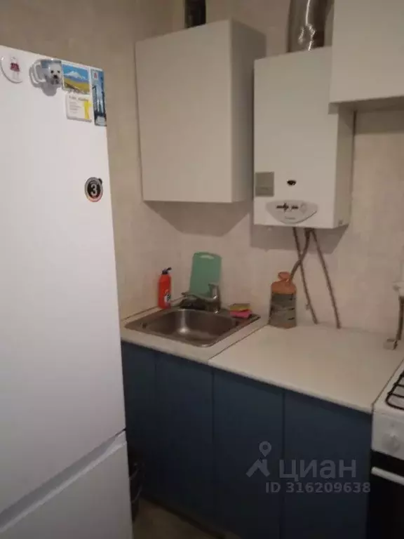 3-к кв. Нижегородская область, Нижний Новгород ул. Героя Рябцева, 9 ... - Фото 2