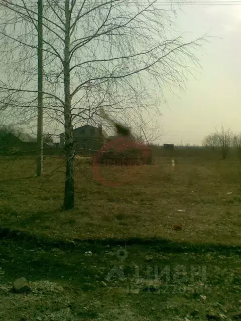 Участок в Воронежская область, Новоусманский район, с. Рогачевка ... - Фото 0