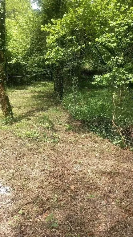 Участок в Краснодарский край, Сочи городской округ, Дагомыс пгт  (10.0 ... - Фото 2