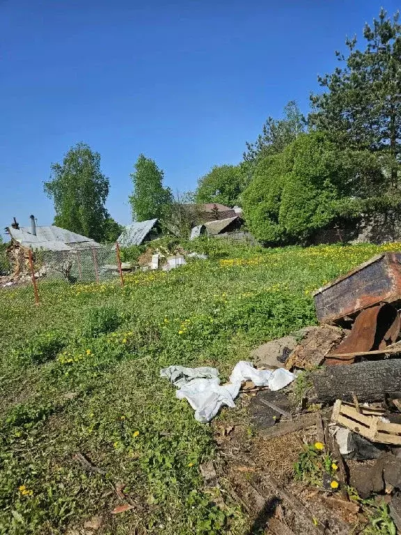 Продается участок в с. Вельяминово - Фото 2