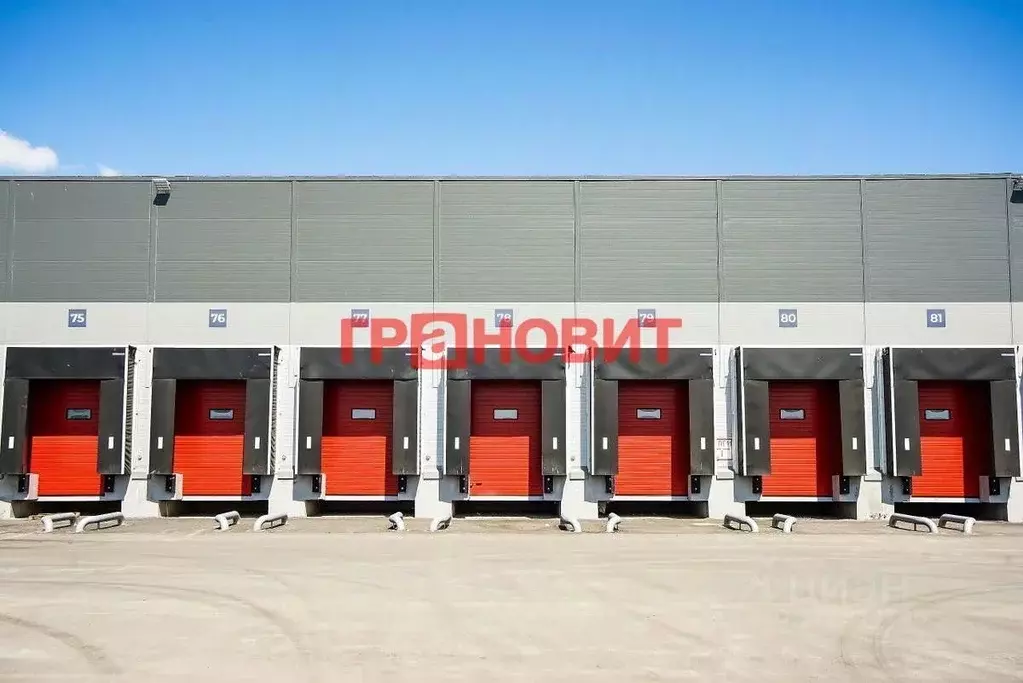 Склад в Новосибирская область, Новосибирский район, с. Толмачево ул. ... - Фото 2