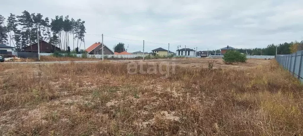 Участок в Воронежская область, Рамонский район, с. Ямное ул. Имени ... - Фото 1