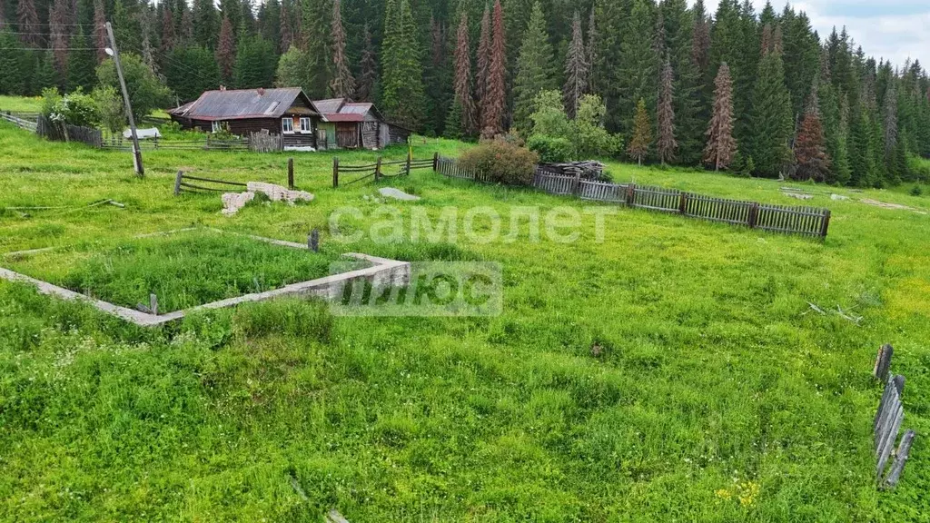 Участок в Челябинская область, Нязепетровск ул. Тимирязева (12.0 сот.) - Фото 0