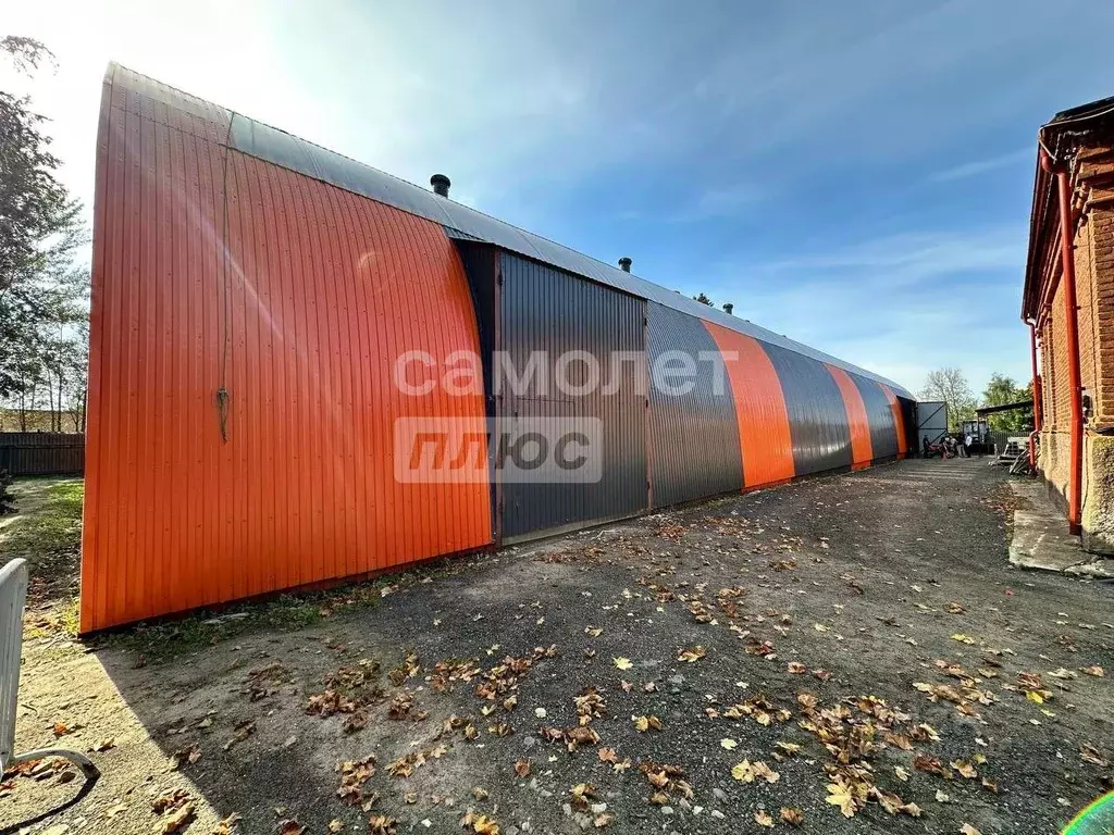 Помещение свободного назначения в Московская область, Домодедово ... - Фото 1