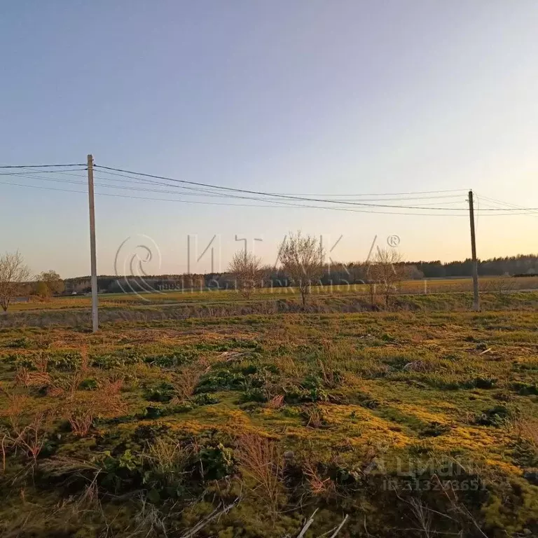 Участок в Ленинградская область, Приозерский район, Плодовское с/пос, ... - Фото 1