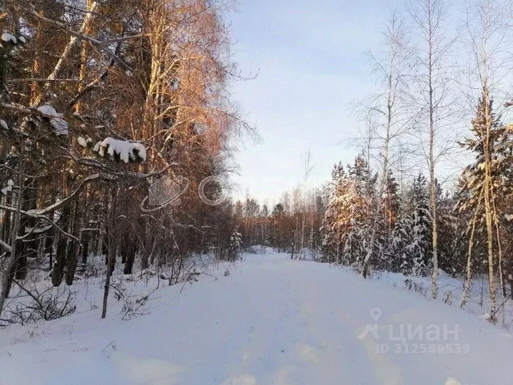 Участок в Тюменская область, Тюменский район, д. Речкина  (10.0 сот.) - Фото 1