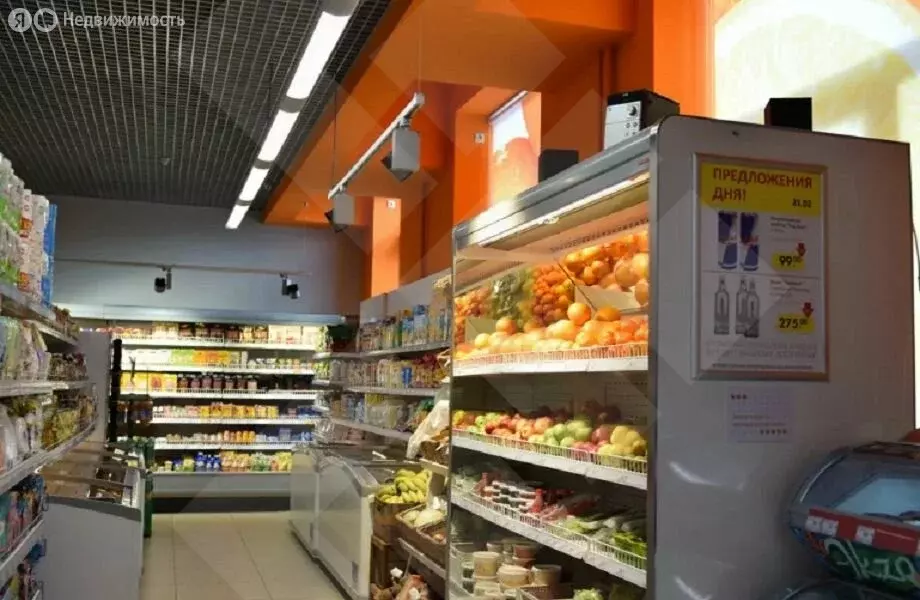 Помещение свободного назначения (200 м) - Фото 2