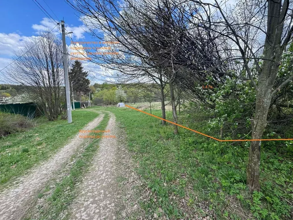 Участок в Тульская область, Заокский район, Малаховское с/пос, д. ... - Фото 2