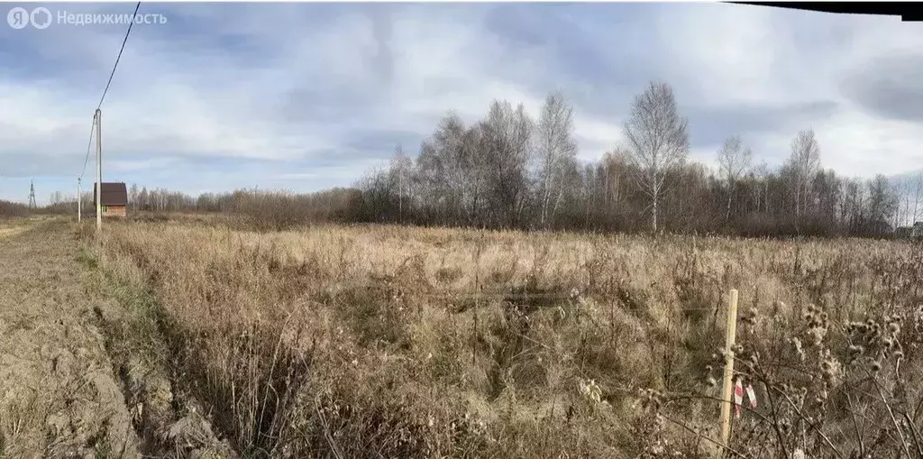 Участок в Тюменский муниципальный округ, село Борки (14 м) - Фото 1