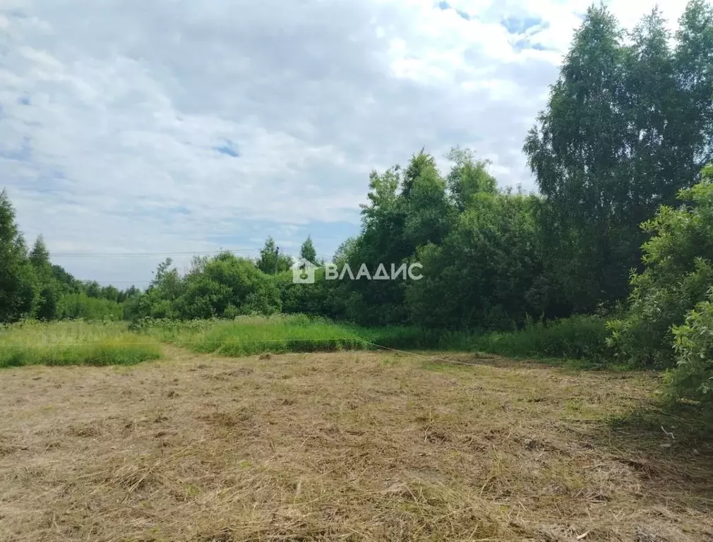 Участок в Московская область, Электросталь городской округ, д. Есино  ... - Фото 1