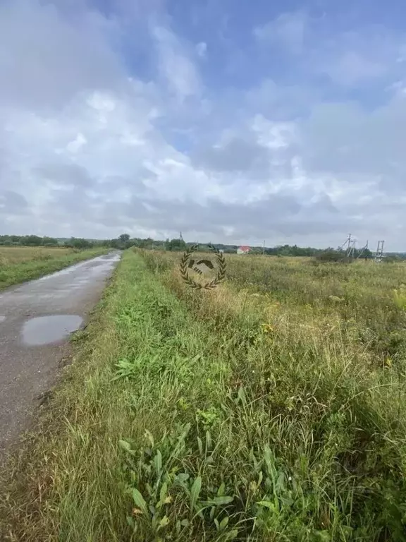 Участок в Калужская область, Перемышльский муниципальный округ, ... - Фото 1