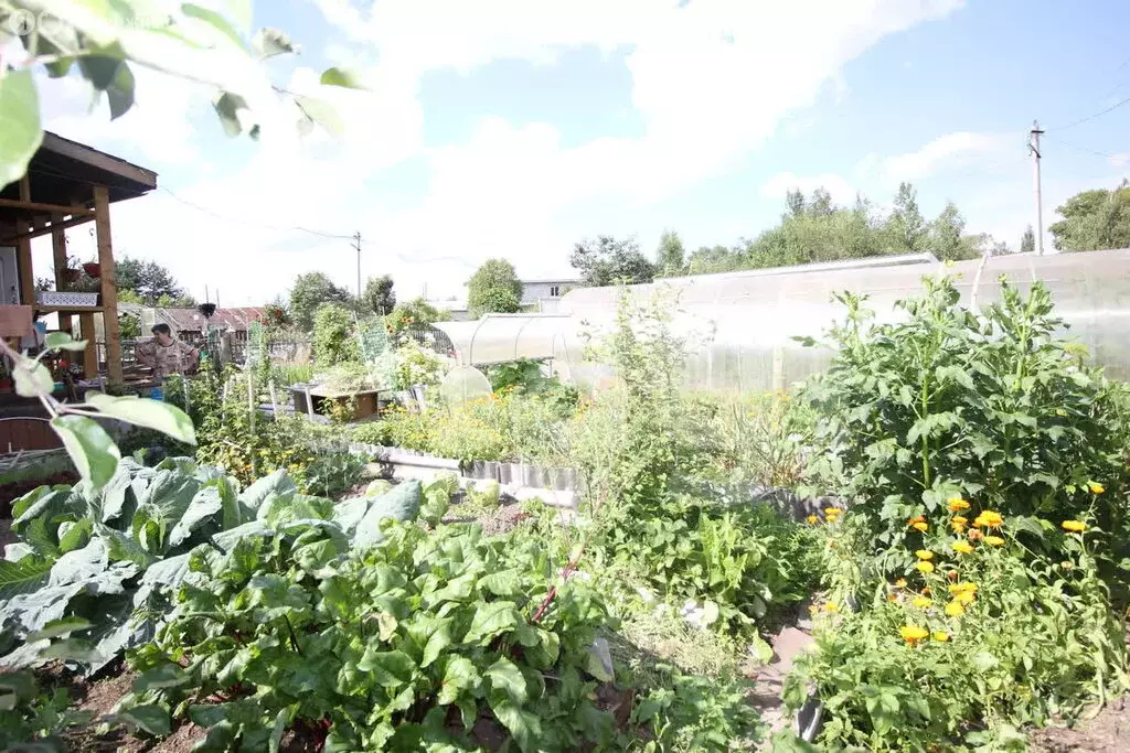 2-комнатная квартира: Шексна, микрорайон Шексна Южная, Пионерская ... - Фото 2