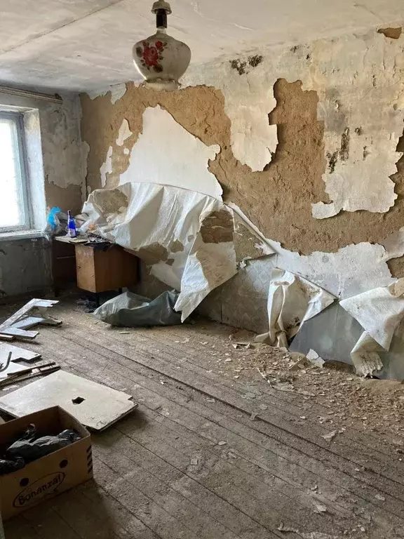 Помещение свободного назначения в Забайкальский край, Читинский район, ... - Фото 1