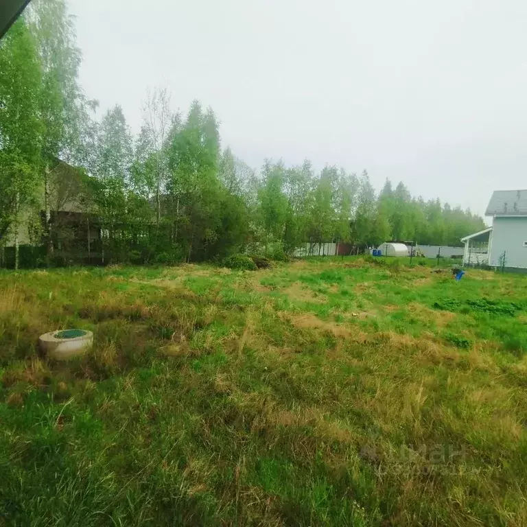 Участок в Ленинградская область, Всеволожский район, Колтушское ... - Фото 1