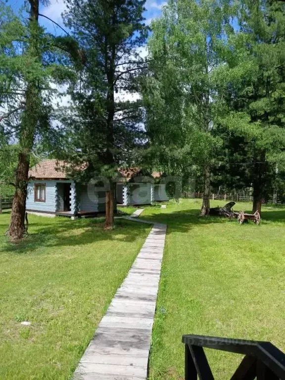 Дом в Алтай, Усть-Коксинский район, с. Мульта Центральная ул., 119Б ... - Фото 0