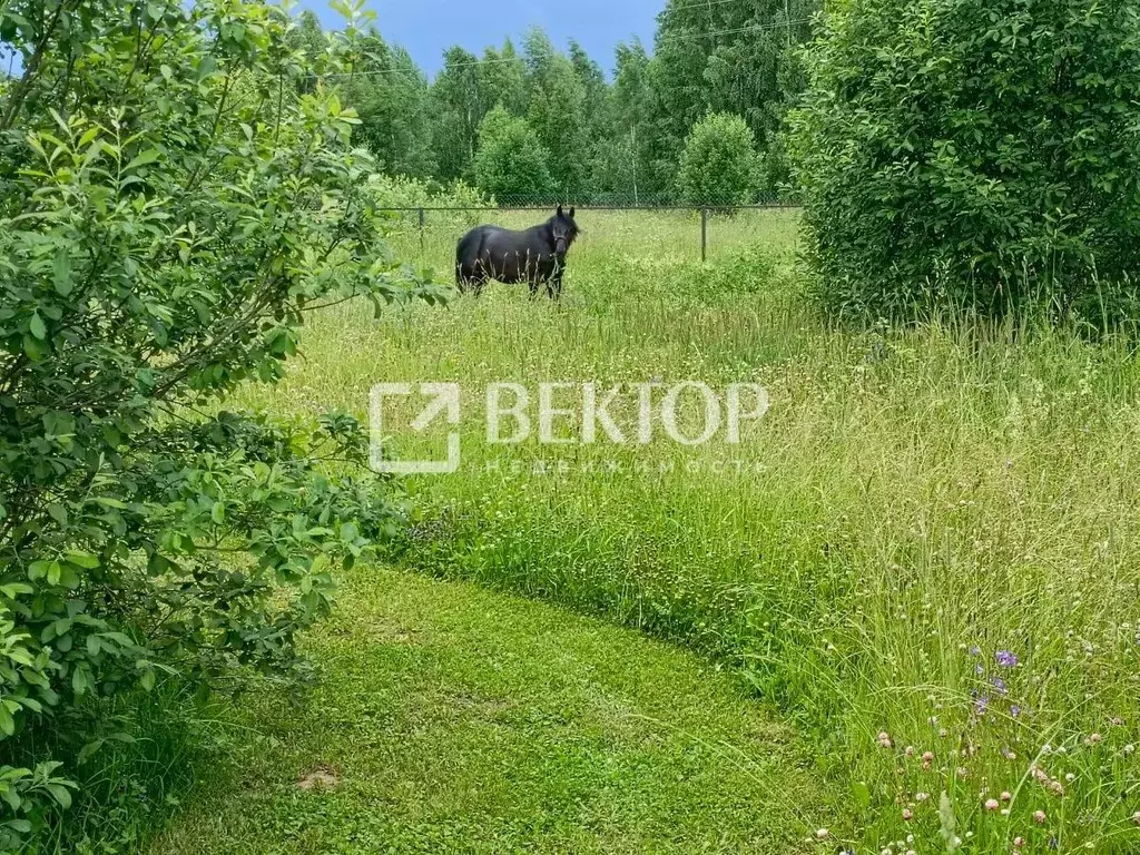 Участок в Ивановская область, Кинешемский район, Наволокское городское ... - Фото 0