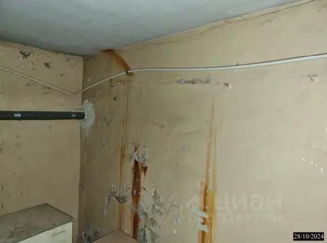 Помещение свободного назначения в Нижегородская область, Нижний ... - Фото 0