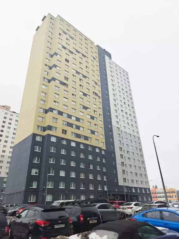 Студия Санкт-Петербург дор. Муринская, 25к3 (21.8 м) - Фото 1