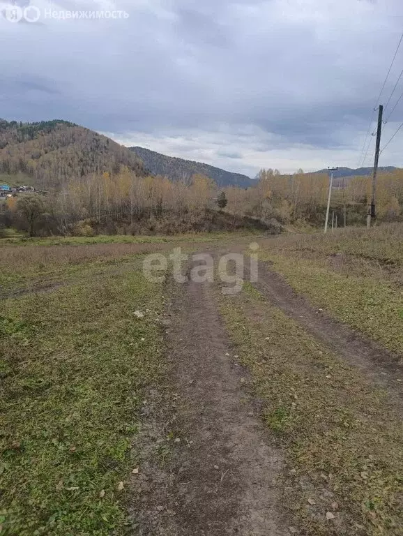 Участок в Майминский район, село Бирюля (400 м) - Фото 0