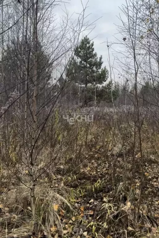 Участок в Нижегородская область, с. Безводное  (8.8 сот.) - Фото 2