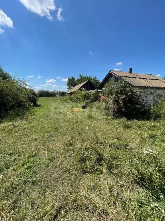 Дом в Саратовская область, Балашовский район, Октябрьское ... - Фото 1