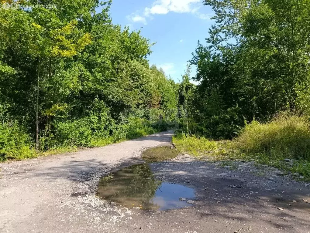 Участок в Калининград, Гатчинская улица (6 м) - Фото 2